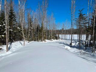 Photo 12: Lot Butler Road in Murphy Lake: Kings County Vacant Land for sale (Annapolis Valley)  : MLS®# 202304459