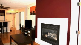 Photo 5: 207 2768 CRANBERRY DRIVE in Vancouver: Kitsilano Condo for sale (Vancouver West)  : MLS®# R2435190