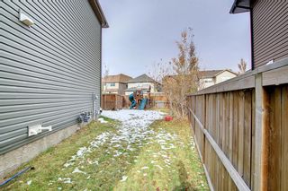 Photo 42: 186 Chaparral Valley Square SE in Calgary: Chaparral Semi Detached (Half Duplex) for sale : MLS®# A2009371