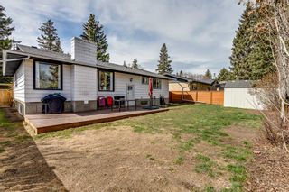 Photo 30: 3228 Oakwood Drive SW in Calgary: Oakridge Detached for sale : MLS®# A2131954