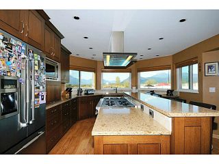 Photo 4: 20981 132ND Avenue in Maple Ridge: Northwest Maple Ridge House for sale : MLS®# V1116009