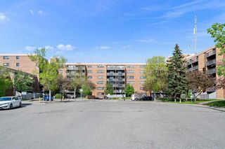 Photo 4: 612 30 Mchugh Court NE in Calgary: Mayland Heights Apartment for sale : MLS®# A2135423