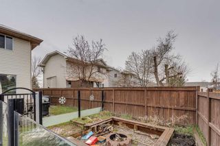Photo 28: 11460 Coventry Boulevard NE in Calgary: Coventry Hills Detached for sale : MLS®# A2127883