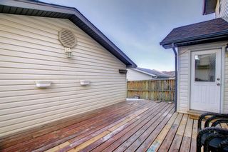 Photo 37: 47 Martha's Meadow Drive NE in Calgary: Martindale Detached for sale : MLS®# A1178725