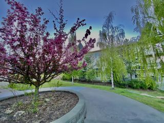 Photo 17: 2214 70 Panamount Drive NW in Calgary: Panorama Hills Apartment for sale : MLS®# A1113784