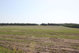 Photo 16: 1262 Township 391: Rural Red Deer County Detached for sale : MLS®# C4192272