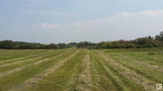 Photo 12: 54228 RR 245: Rural Sturgeon County Vacant Lot/Land for sale : MLS®# E4375925