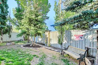 Photo 43: 131 Bridlewood Circle SW in Calgary: Bridlewood Detached for sale : MLS®# A1126092
