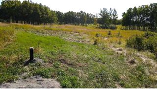 Photo 6: 23 Grove Lane in Rural Rocky View County: Rural Rocky View MD Residential Land for sale : MLS®# A2131088