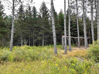 Photo 3: Lot Lorne Station Road in Lorne: 108-Rural Pictou County Vacant Land for sale (Northern Region)  : MLS®# 202317598