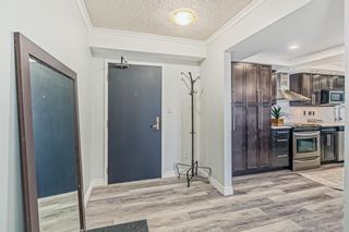 Photo 4: 504 1215 Cameron Avenue SW in Calgary: Lower Mount Royal Apartment for sale : MLS®# A2022338