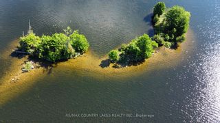 Photo 3: Lt 1 Island in Kawartha Lakes: Rural Carden Property for sale : MLS®# X6745966