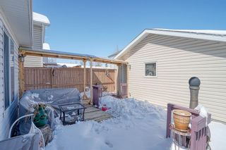 Photo 30: 83 Coventry View NE in Calgary: Coventry Hills Detached for sale : MLS®# A1208569