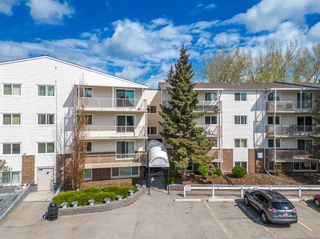 Main Photo: 315 3420 50 Street NW in Calgary: Varsity Apartment for sale : MLS®# A2133657