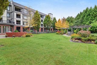 Photo 19: 211 8880 202 Street in Langley: Walnut Grove Condo for sale in "The Residence" : MLS®# R2444282