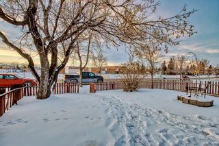 Photo 48: 6417 Penbrooke Drive SE in Calgary: Penbrooke Meadows Semi Detached (Half Duplex) for sale : MLS®# A2014861