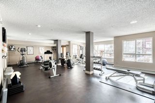 Photo 10: 224 22 Richard Place SW in Calgary: Lincoln Park Apartment for sale : MLS®# A2032133