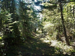 Photo 16: Lot Rockland Road in Rockland: 407-Shelburne County Vacant Land for sale (South Shore)  : MLS®# 202221784