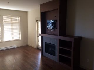 Photo 5: 302 4365 HASTINGS Street in Burnaby: Vancouver Heights Condo for sale (Burnaby North)  : MLS®# R2128194