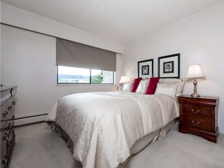 Photo 14: 115 1040 KING ALBERT Street in Coquitlam: Central Coquitlam Condo for sale in "AUSTIN HEIGHTS" : MLS®# V1113219