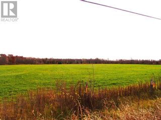 Photo 3: 00 COUNTY ROAD 46 ROAD in Tincap: Vacant Land for sale : MLS®# 1368609