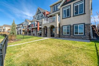 Photo 44: 173 Marquis Point SE in Calgary: Mahogany Detached for sale : MLS®# A1217451