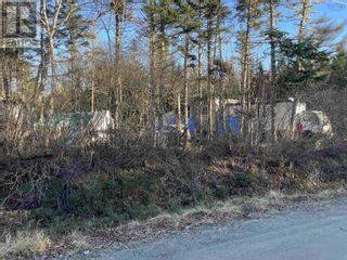 Photo 16: 1632 Mcleans Lake Road in Port L'Hebert: Vacant Land for sale : MLS®# 202400143