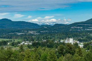 Photo 23: 1404 3170 GLADWIN Road in Abbotsford: Central Abbotsford Condo for sale in "REGENCY PARK" : MLS®# R2463726