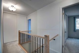 Photo 21: 84 210 86 Avenue SE in Calgary: Acadia Row/Townhouse for sale : MLS®# A2084086
