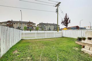 Photo 49: 55 Saddlemont Crescent NE in Calgary: Saddle Ridge Detached for sale : MLS®# A1135960
