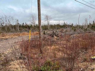 Photo 2: 30 acres Shore Road in Waterside: 108-Rural Pictou County Vacant Land for sale (Northern Region)  : MLS®# 202300935