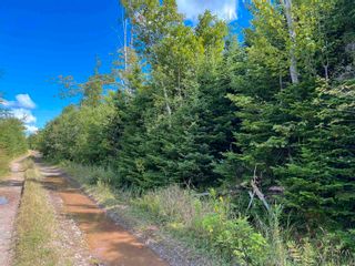 Photo 6: Lot 2 MacLean Road in Hunters Mountain: 209-Victoria County / Baddeck Vacant Land for sale (Cape Breton)  : MLS®# 202317840