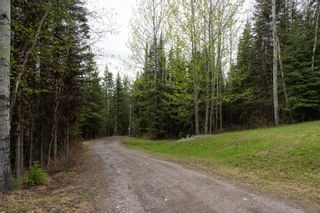Photo 38: 13200 EDOIDGE Road in Prince George: Hobby Ranches House for sale (PG Rural North)  : MLS®# R2883232