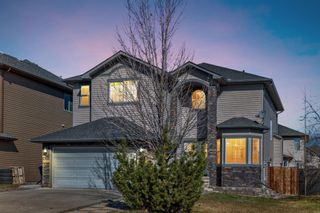 Photo 3: 202 TOPAZ Gate: Chestermere Detached for sale : MLS®# A2110670