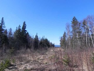 Photo 2: Lot 16 FUNDY BAY Drive in Victoria Harbour: 404-Kings County Vacant Land for sale (Annapolis Valley)  : MLS®# 201902464