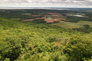 Photo 17: Lot 4-E Gospel Woods Road in Arlington: Kings County Vacant Land for sale (Annapolis Valley)  : MLS®# 202217300