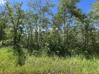 Photo 12: 1 40E Road in Ste Anne Rm: Vacant Land for sale : MLS®# 202319646