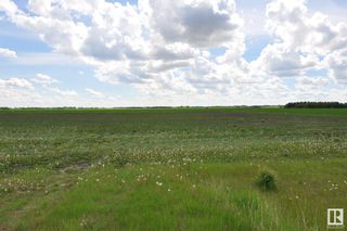 Photo 2: RR 260 & Twp 564 NW: Rural Sturgeon County Rural Land/Vacant Lot for sale : MLS®# E4298717