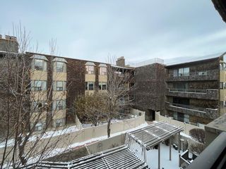 Photo 18: 304 3719B 49 Street NW in Calgary: Varsity Apartment for sale : MLS®# A2013445