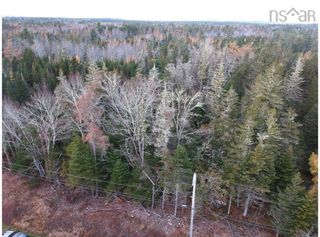 Photo 11: Lot Highway 331 in Voglers Cove: 405-Lunenburg County Vacant Land for sale (South Shore)  : MLS®# 202226213