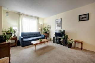 Photo 3:  in Calgary: McKenzie Towne Row/Townhouse for sale : MLS®# A1210903