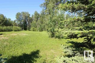 Photo 6: 568 Beach Road: Rural Wetaskiwin County Vacant Lot/Land for sale : MLS®# E4333539