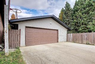 Photo 38: 1351 Idaho Street: Carstairs Detached for sale : MLS®# A1040858