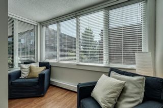 Photo 15: 201 511 56 Avenue SW in Calgary: Windsor Park Apartment for sale : MLS®# C4266284