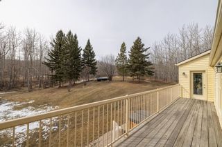 Photo 37: 30051 Bunny Hollow Drive in Rural Rocky View County: Rural Rocky View MD Detached for sale : MLS®# A1196873
