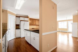 Photo 8: 417 40 Parkridge View SE in Calgary: Parkland Apartment for sale : MLS®# A2005383