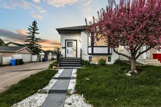 Main Photo: 12 Martin Crossing Rise NE in Calgary: Martindale Detached for sale : MLS®# A2137362