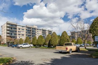 Photo 25: 207 9300 PARKSVILLE Drive in Richmond: Boyd Park Condo for sale in "MASTERS GREEN" : MLS®# R2748105