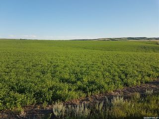 Photo 1: 1,360 Acres Willow Bunch (Beck & Thompson) in Willow Bunch: Farm for sale (Willow Bunch Rm No. 42)  : MLS®# SK923344