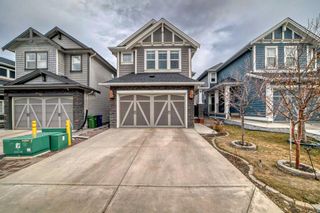 Photo 1: 149 Williamstown Park NW: Airdrie Detached for sale : MLS®# A2119301